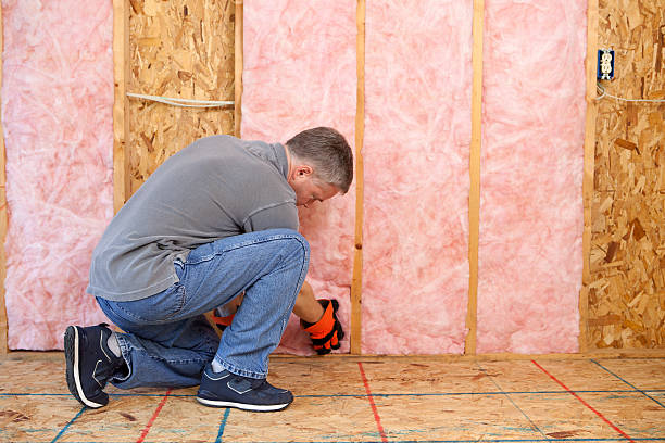 Best Cellulose Insulation in Long Hill, CT